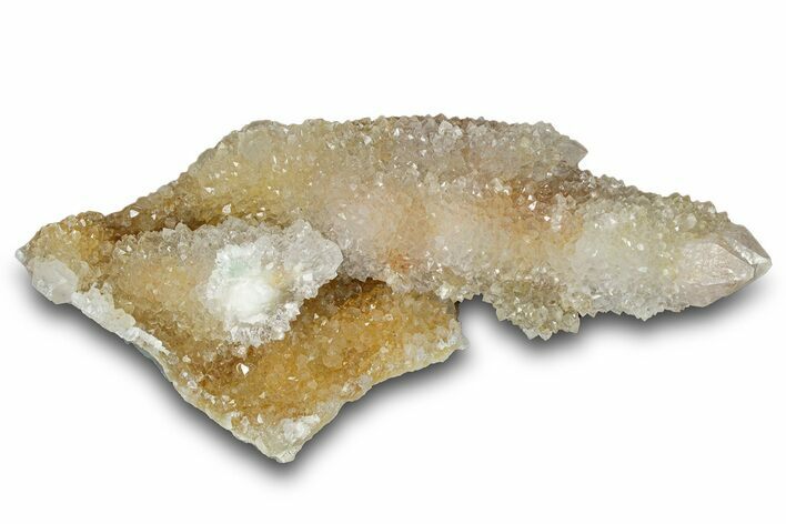 Sparkling Cactus Quartz Crystal Cluster - South Africa #303470